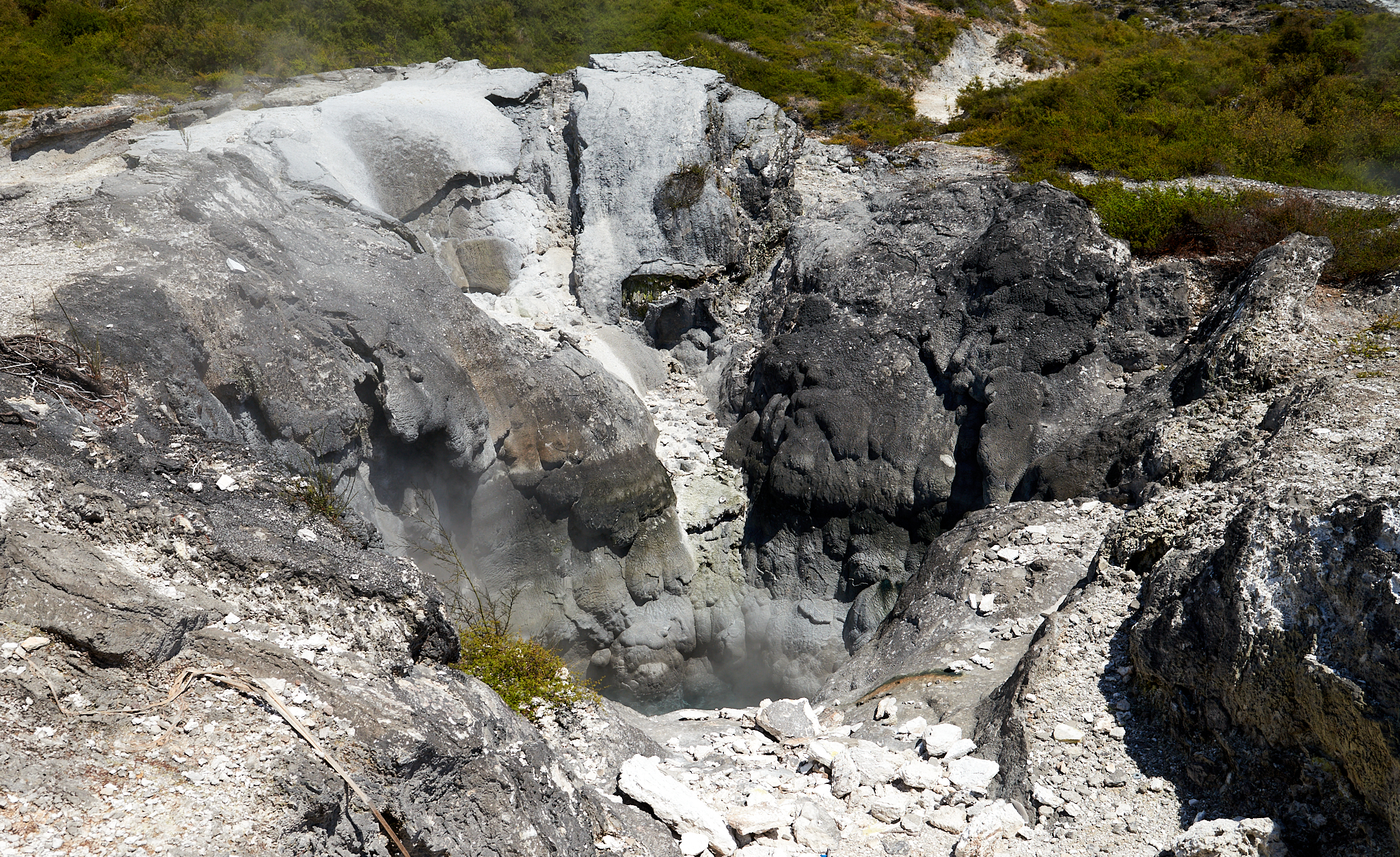 20180129 152 뉴질랜드 포후투